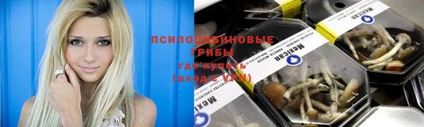 бошки Алексин